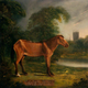 Illustration for article titled Animals That Doubled Their Expected Lifespan